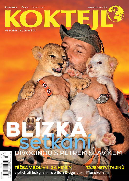 Titulní strana magazínu Koktejl 10/2015